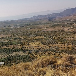 The wonderful view from the ruins