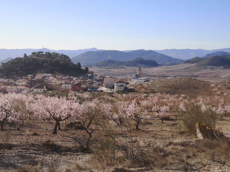 View from Camino Viejo de Chirivel