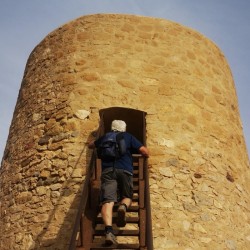 Torre Pirulico