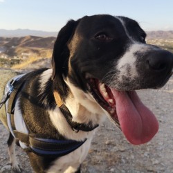 At the top of a mountain walk